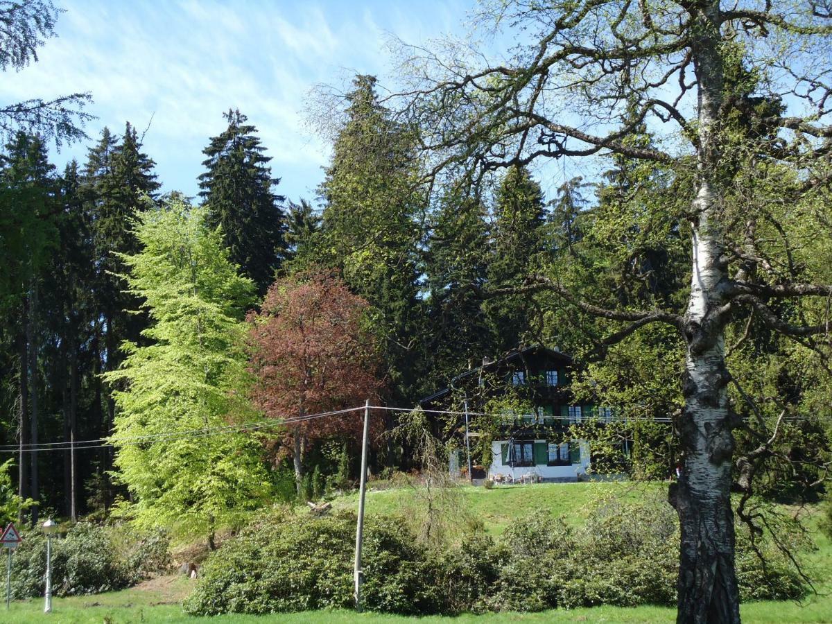 Apartman Forstamt Glatzen Kladska Marianske Lazne Exterior photo